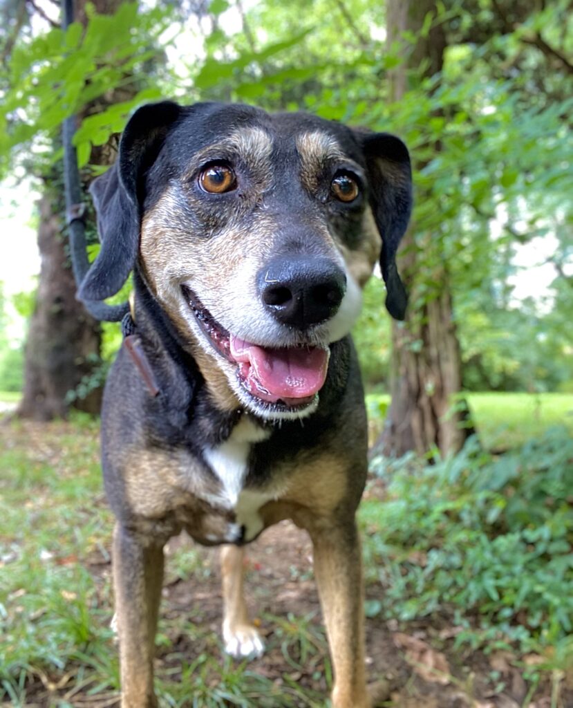 Sasha smiling