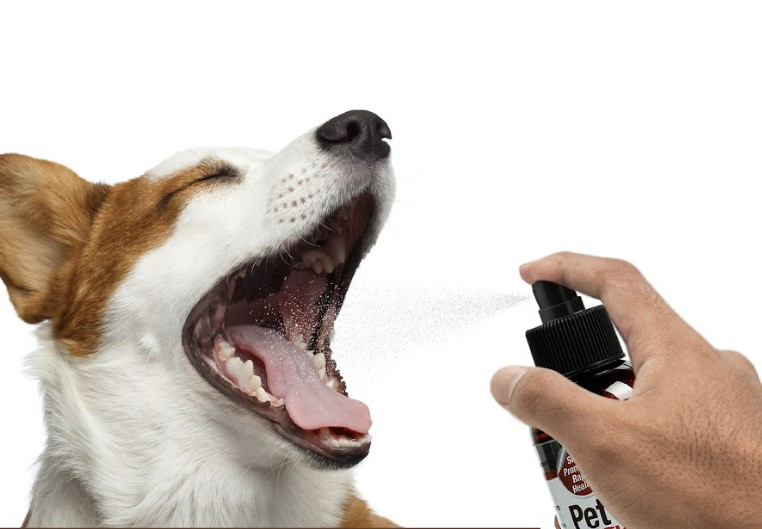 dog teeth spray