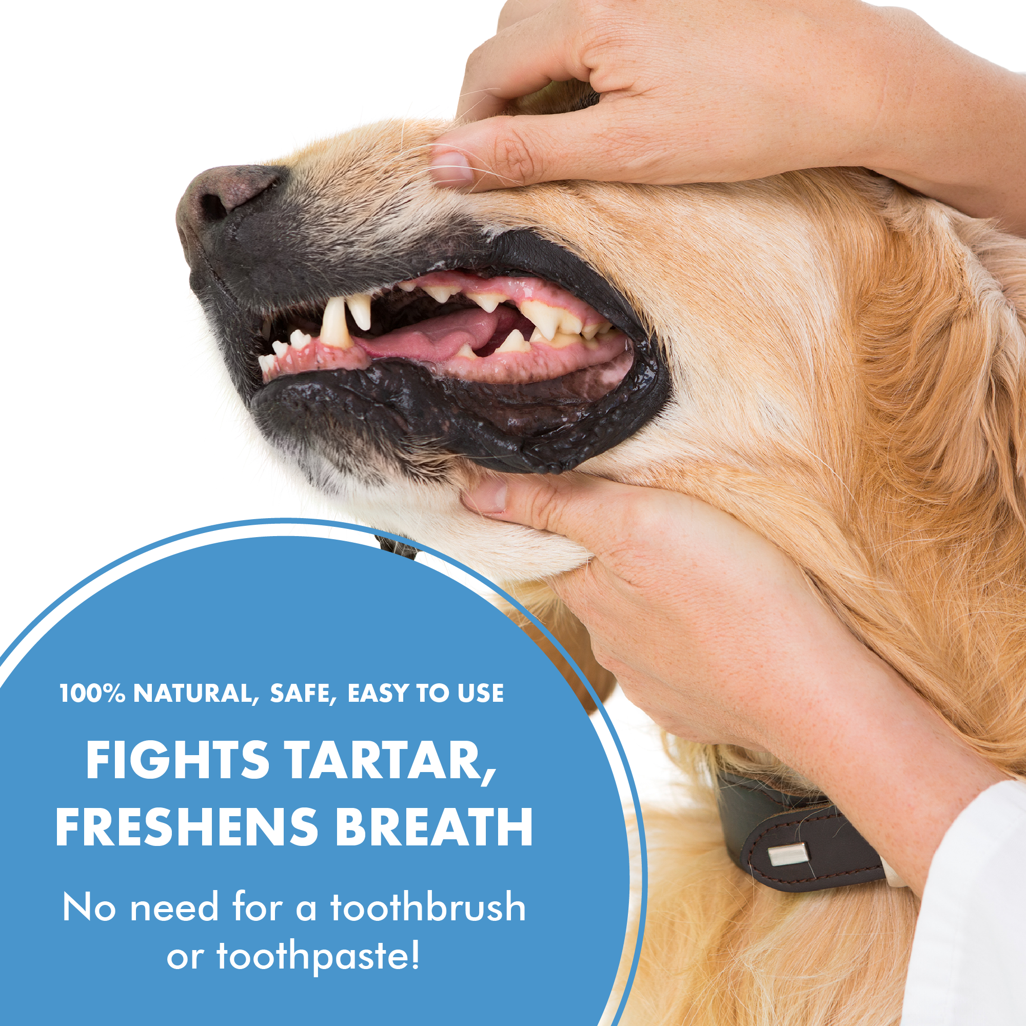 Teeth & Gum Spray - Image 4