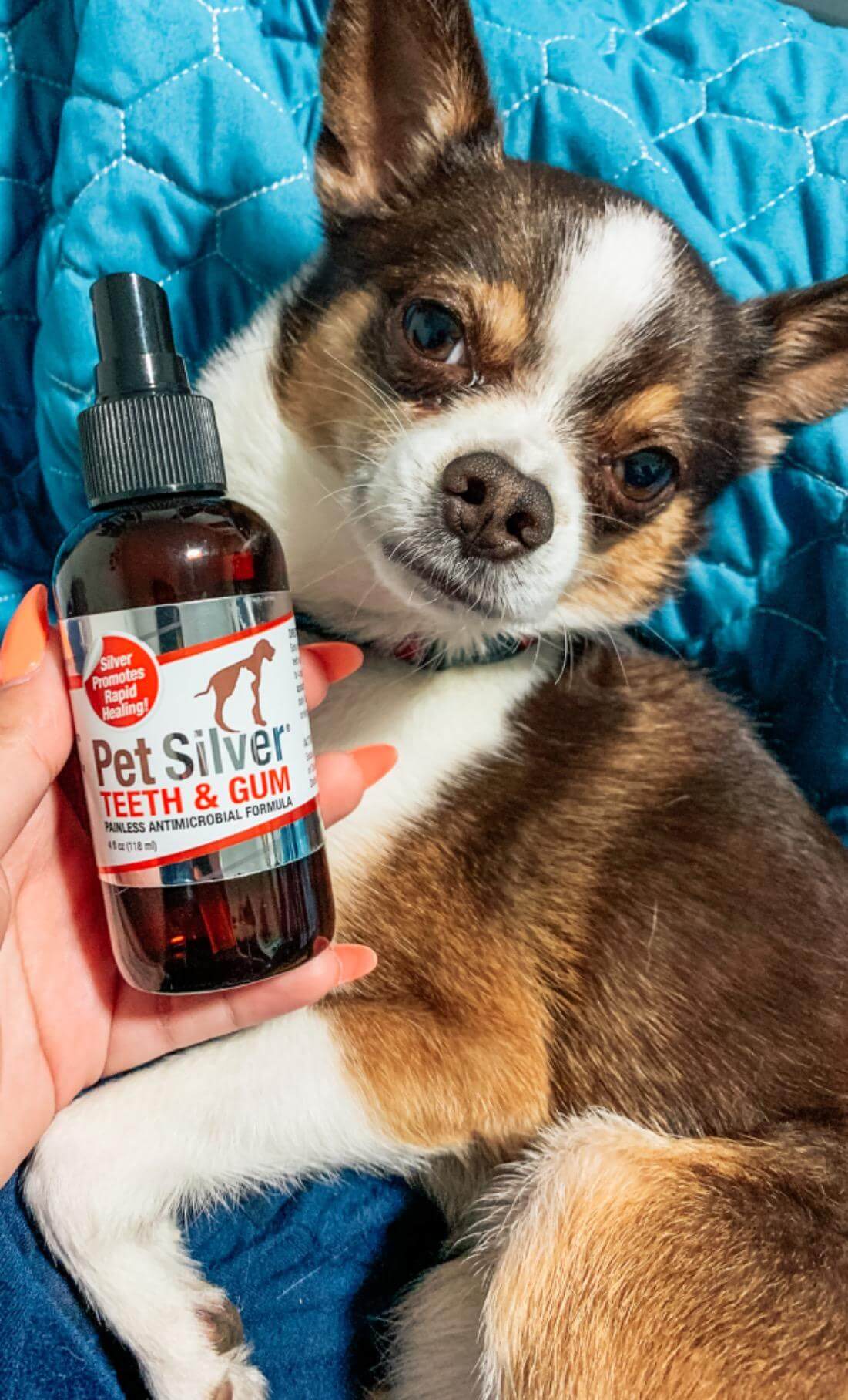 PetSilver Teeth & Gum Spray testimonial